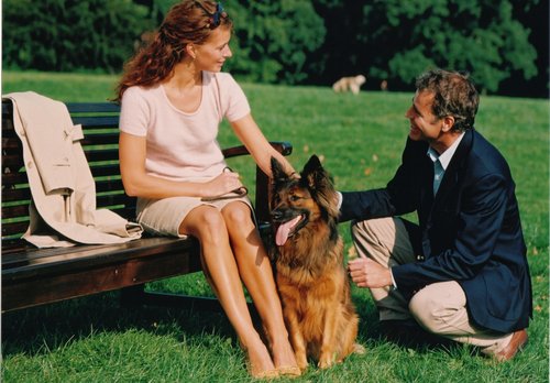 Flirtfaktor Hund